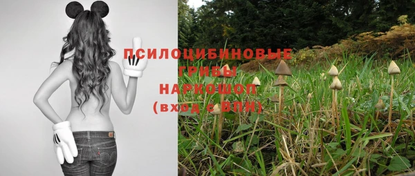 спайс Абинск