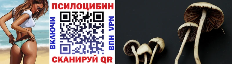 Галлюциногенные грибы мухоморы  Мостовской 
